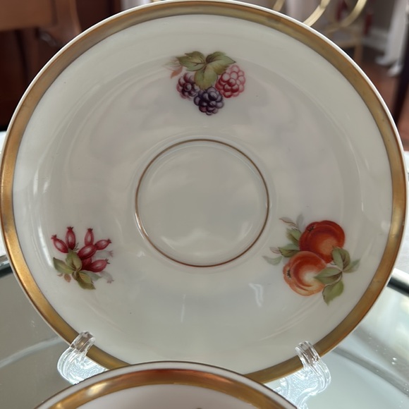 Bavarian Golden Crown (Orchard) Teacup and Saucer - Picture 2 of 5